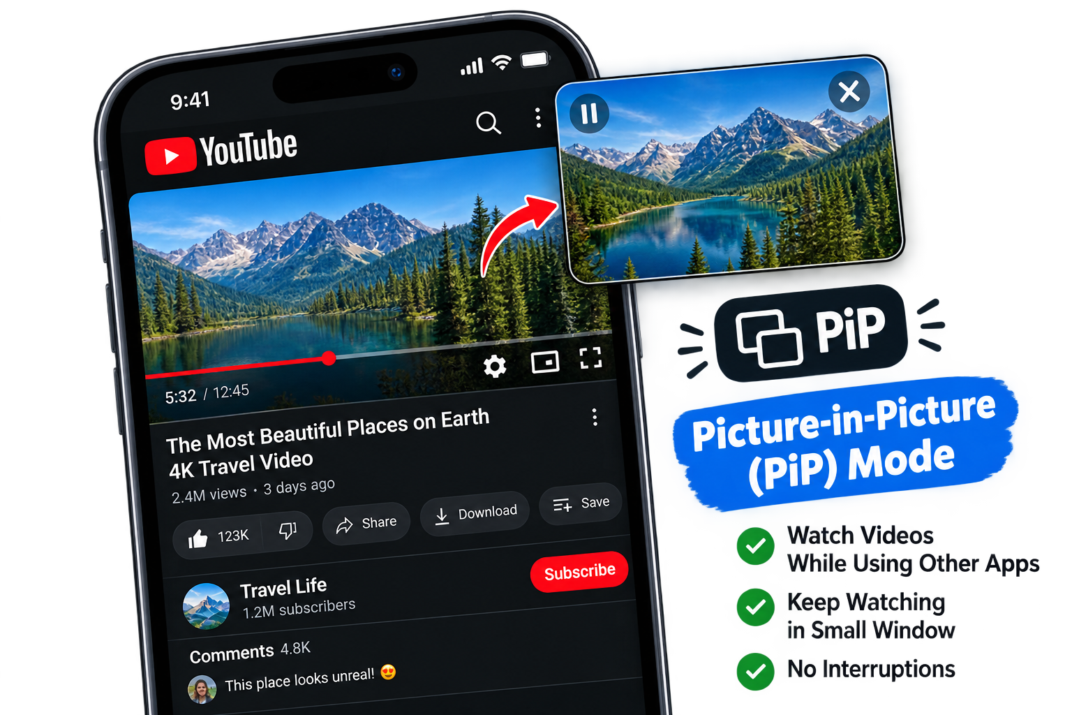 Picture-in-Picture
